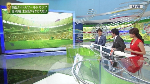 本田朋子 ワールドカップ2014