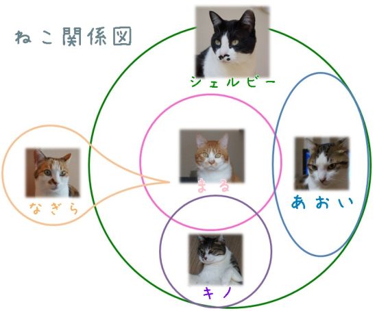 cats2.jpg