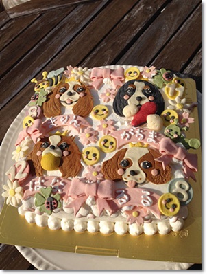 cake2014.jpg