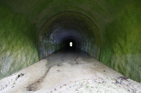 木の実隧道