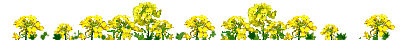 アニメ　10菜の花