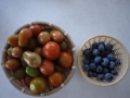 収穫１９日ミニトマト、ブルーベリー