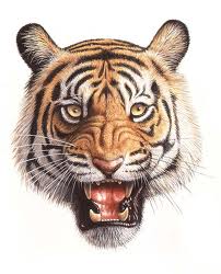 虎 トラ 笑