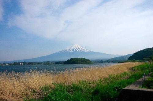 食後は富士山見ながらお散歩♪01