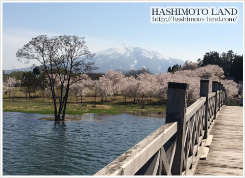 日本一長い木造の太鼓橋津軽富士見湖