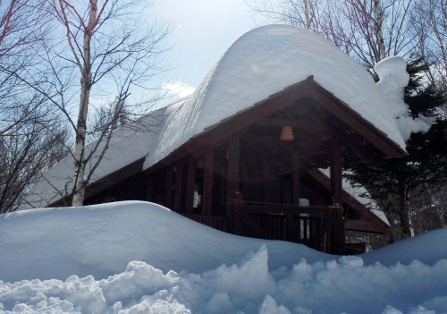 屋根の積雪