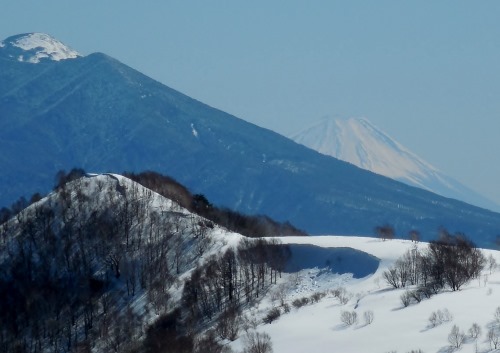 鷹山から富士山