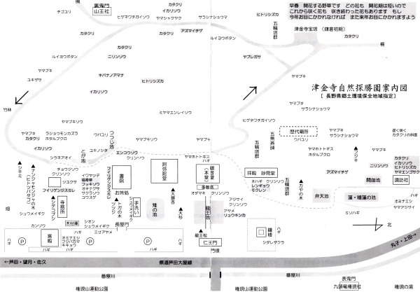 津金寺野草マップ