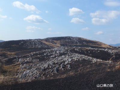山焼き後の秋吉台 北山 冠山 山口県の旅風景